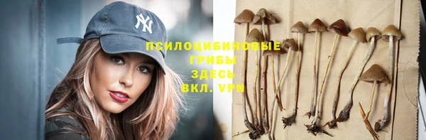 ALPHA PVP Медвежьегорск
