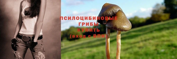 меф Мегион