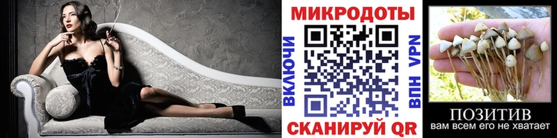 Псилоцибиновые грибы прущие грибы  купить наркотики сайты  Томмот 